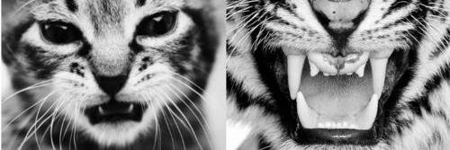 TiannaBcot's profile banner image