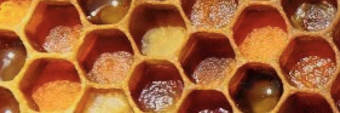 LauraLaCheetah's profile banner image