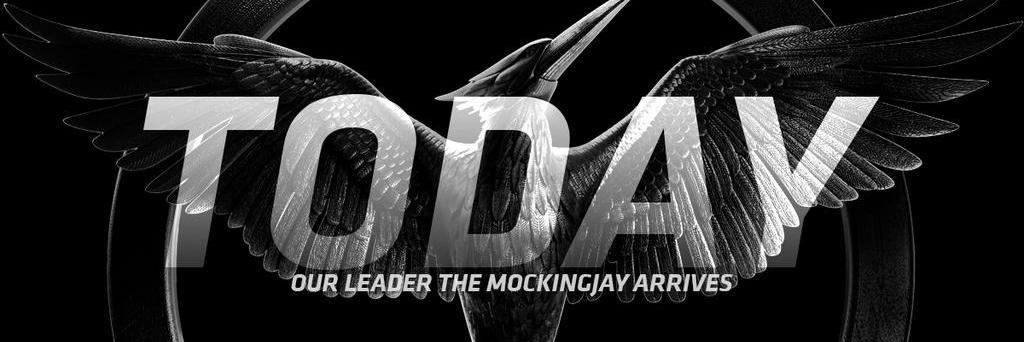 HungerGames944's profile banner image