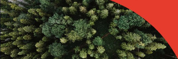 Dehns_IP Profile Banner