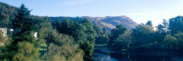 Rachel Beaton banner