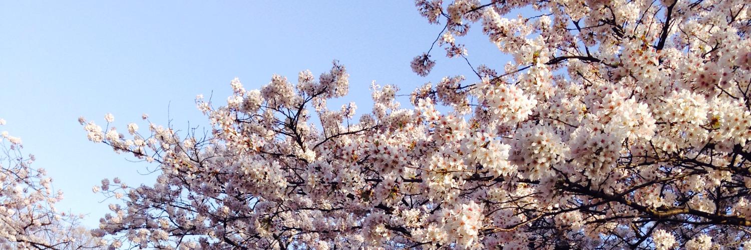 10190124's profile banner image
