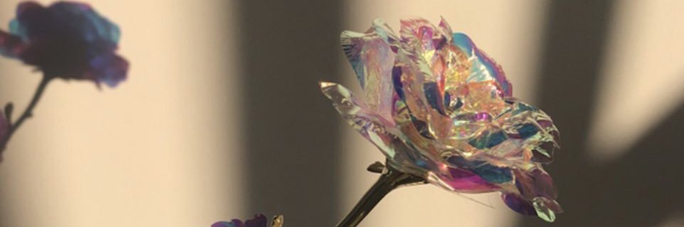 lauflooo's profile banner image