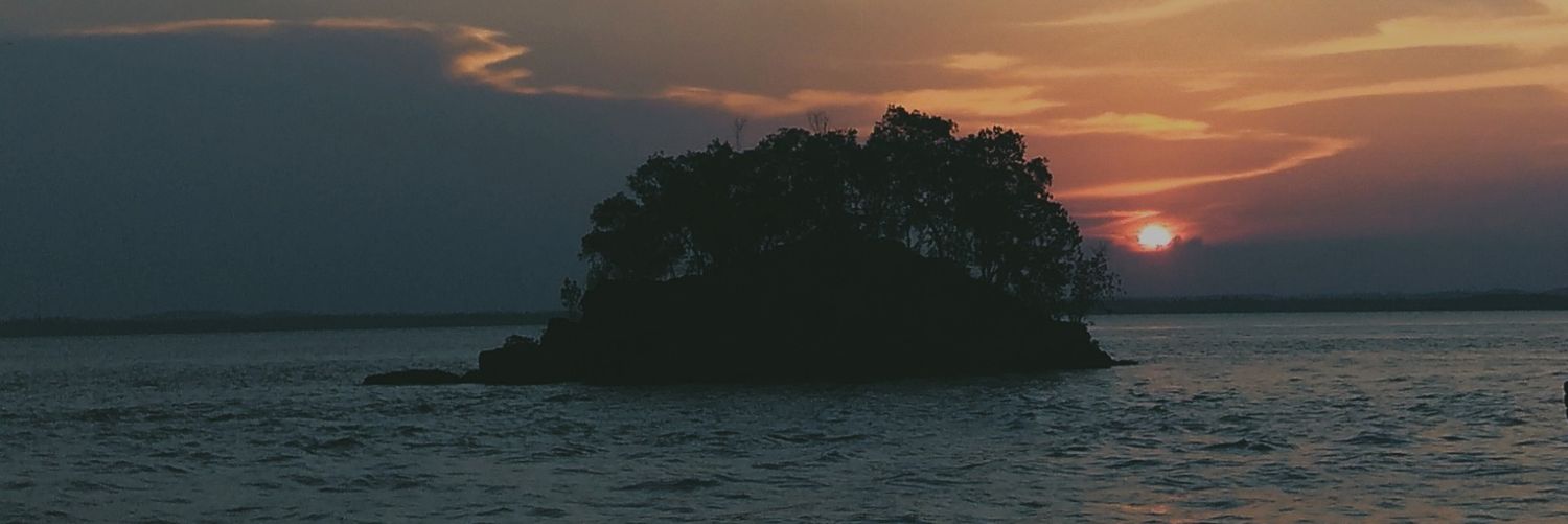 sfbryntii's profile banner image