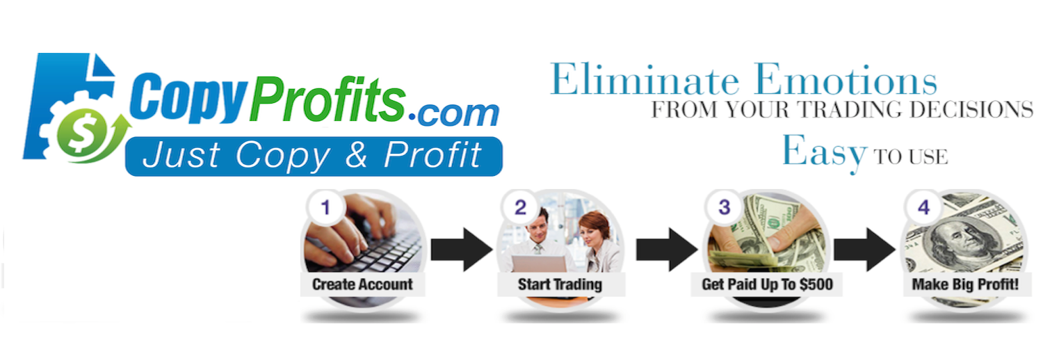 CopyProfits's profile banner image