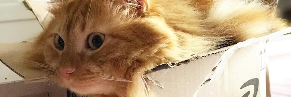 7sofficisoffi's profile banner image