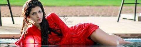 AngelCharlieFc's profile banner image