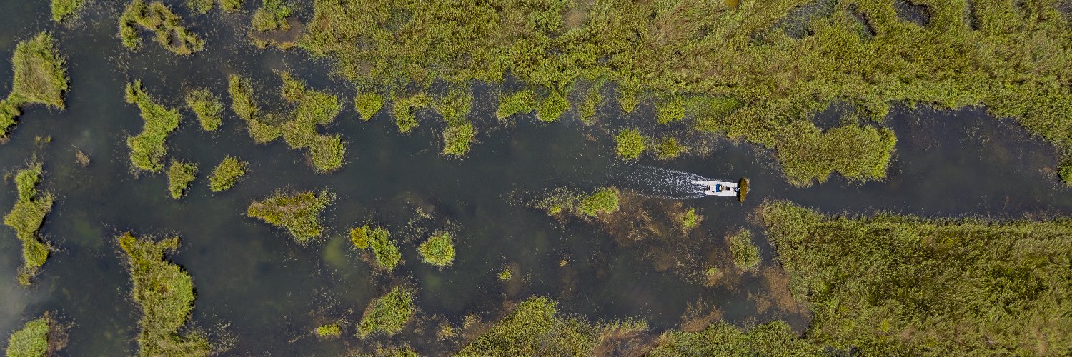 Fundación Global Nature banner