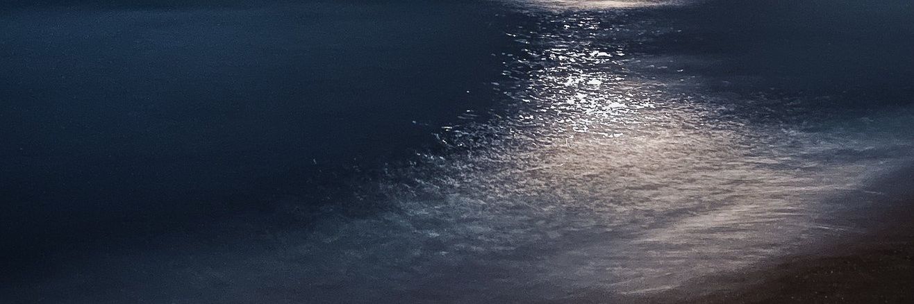 suhuu1's profile banner image