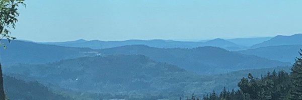 haafstra Profile Banner