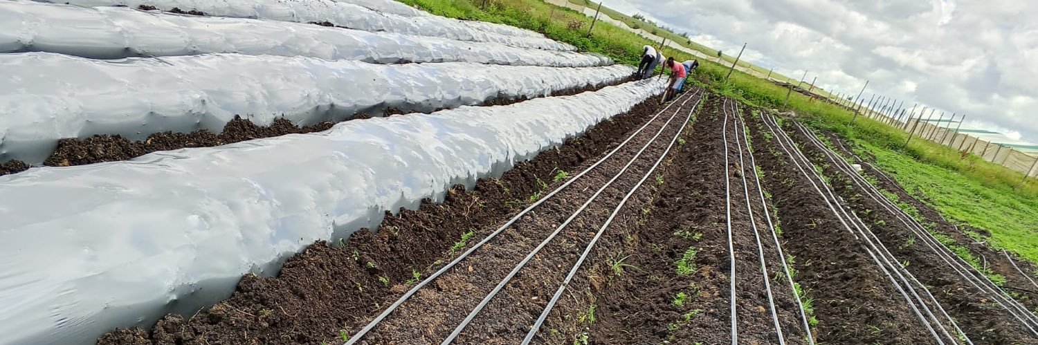 𝐈𝐬𝐥𝐚𝐦𝐚𝐝𝐚 banner