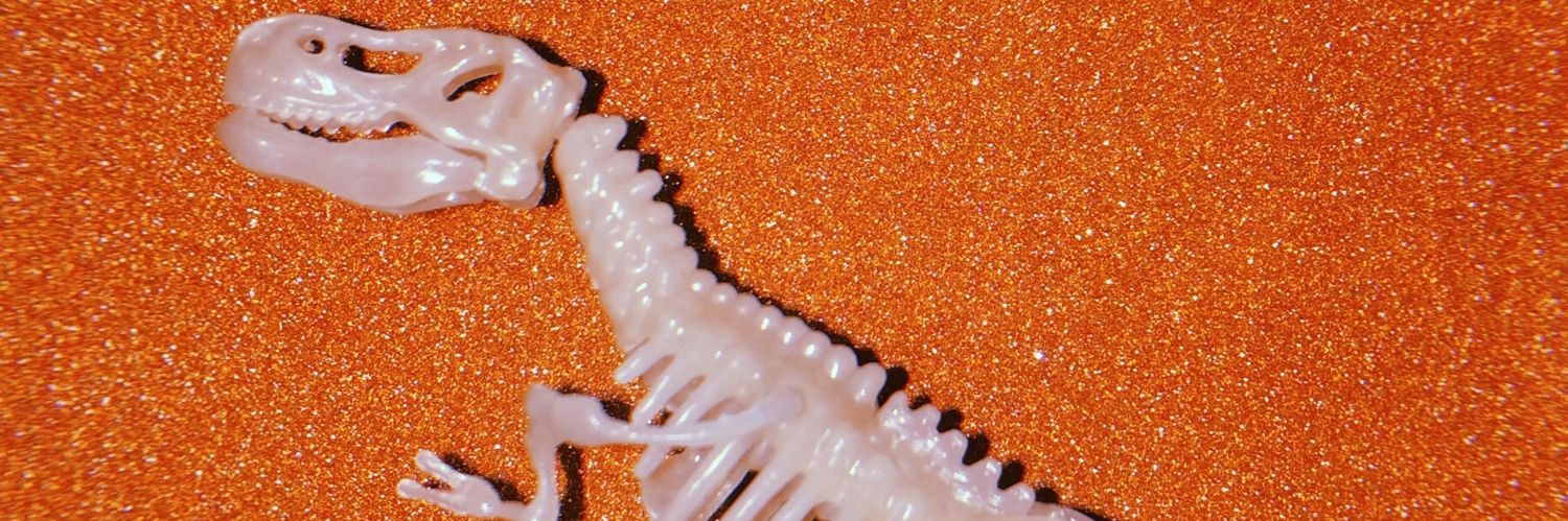 rlctinmyhead's profile banner image