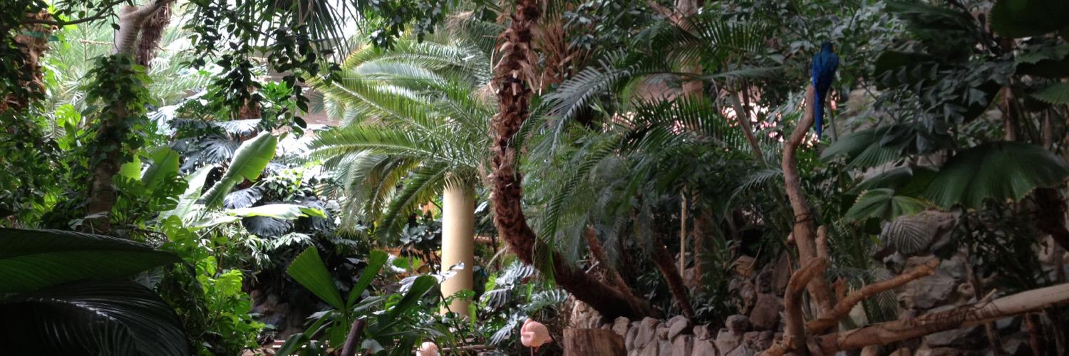 Amaury Castelnot banner