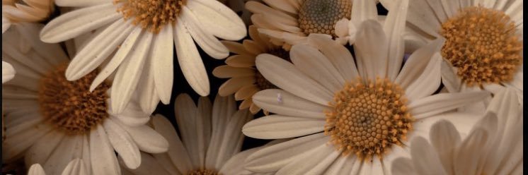 IfeLOVEE's profile banner image