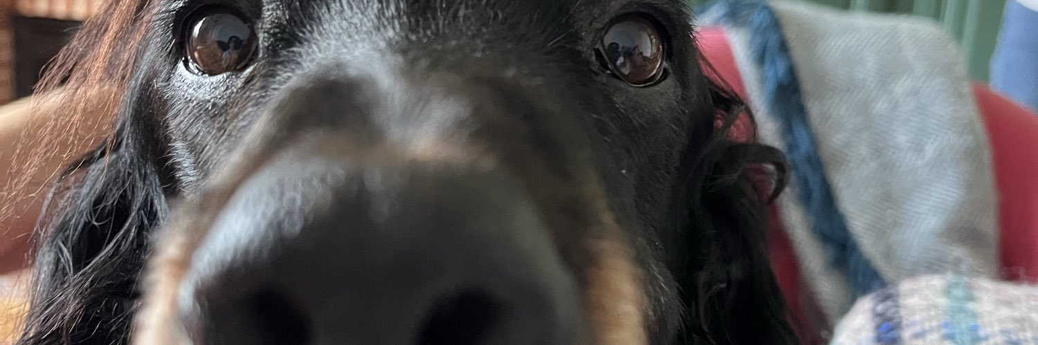 M0KT00's profile banner image