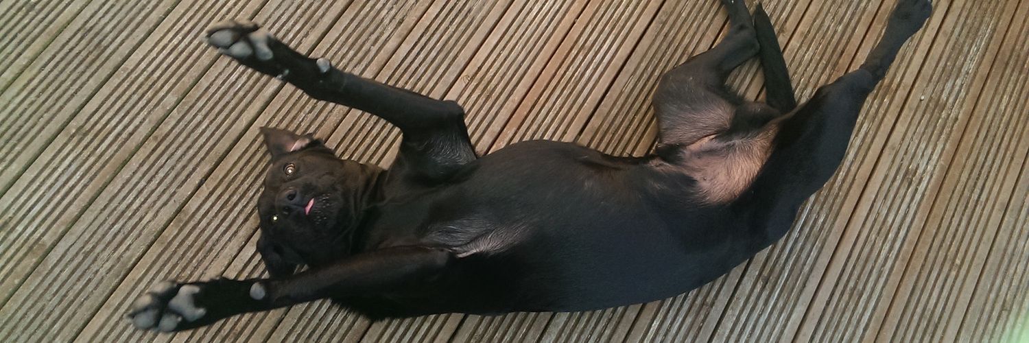 cluffy1779's profile banner image