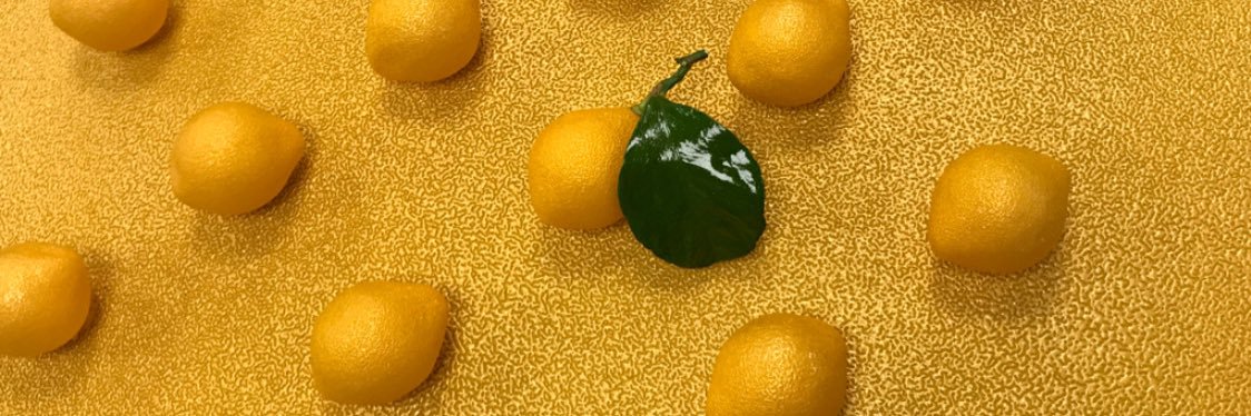 Gaspard Carrondo banner