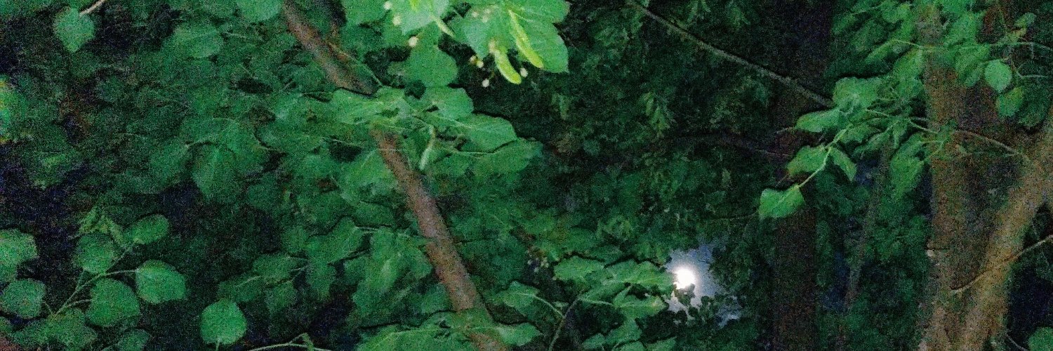 GospodarSam's profile banner image