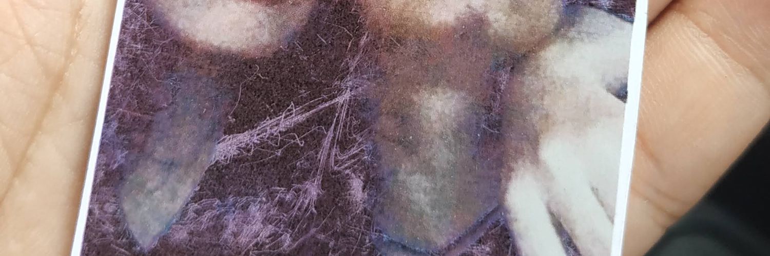 blanko banner