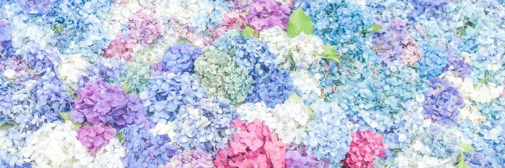 So_s2_Me's profile banner image