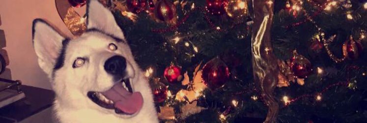 jdesensi40's profile banner image