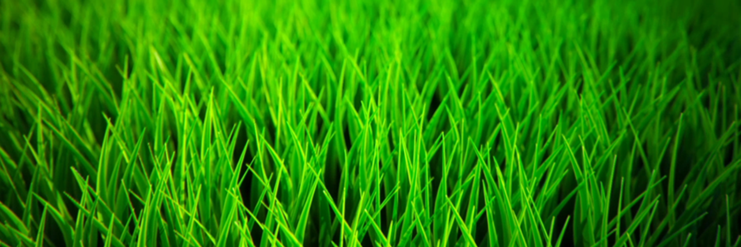 Trigon Turf Sciences banner