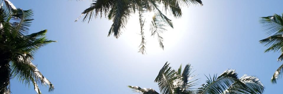 Socialement Exténuée. banner