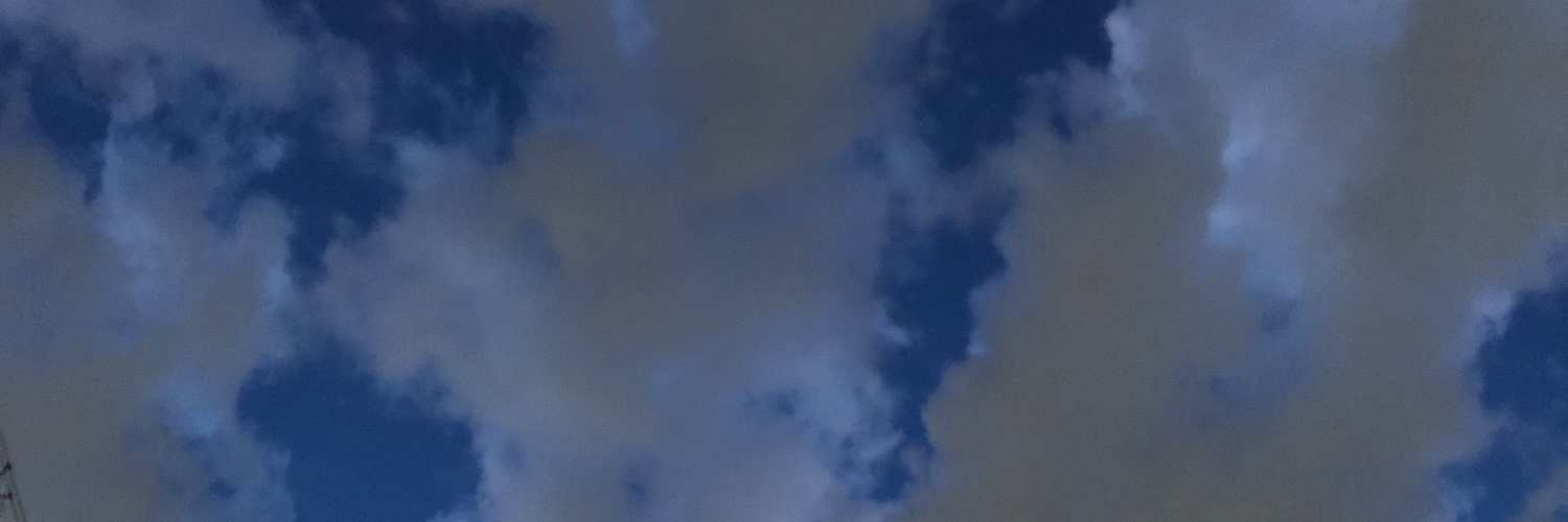 nijyu4's profile banner image