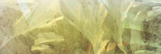 LenaSimonsen's profile banner image