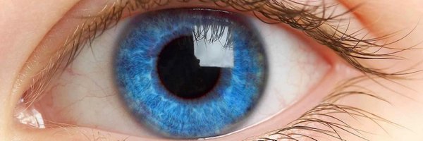 lumenresearch Profile Banner
