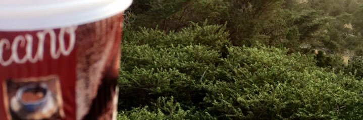 ماجد الثمالي ابو ثامر banner