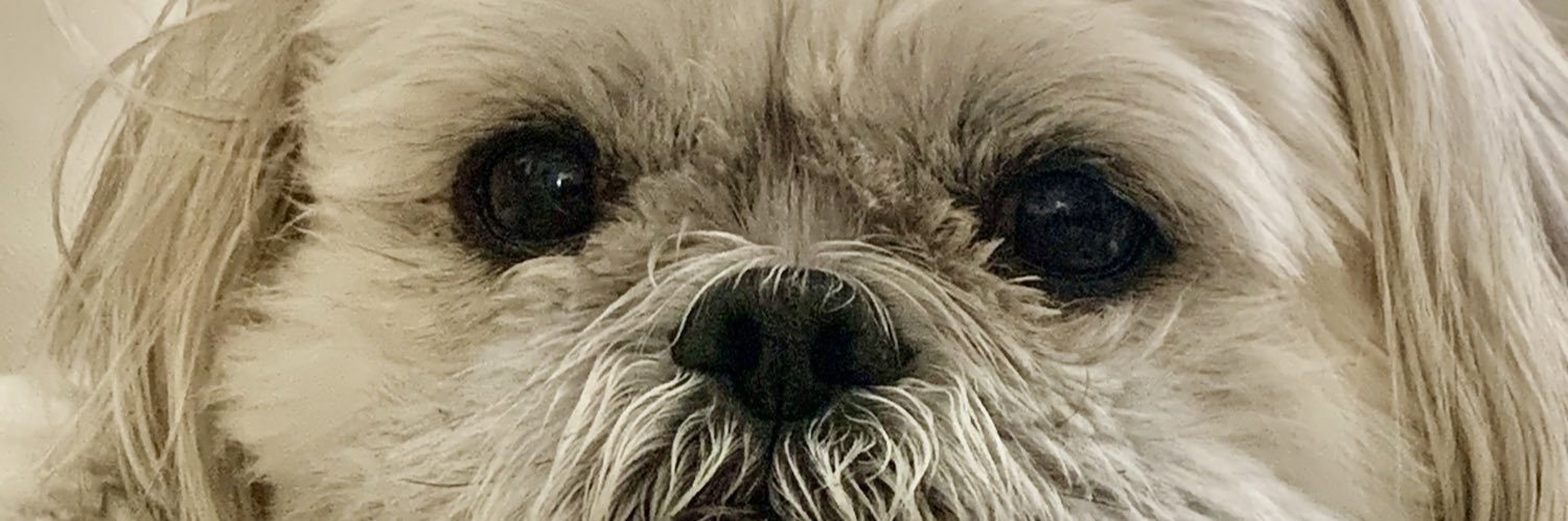 jopip's profile banner image