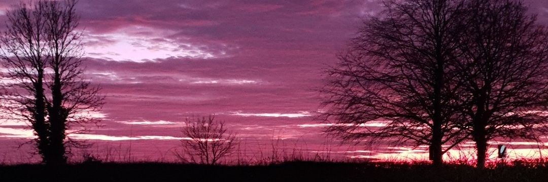 Daren Gosling banner