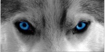 spema10's profile banner image