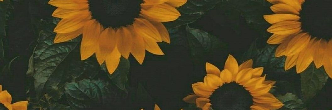 idk_alien's profile banner image