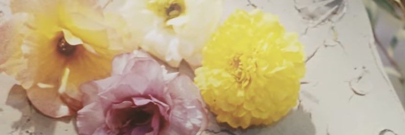 iya_______'s profile banner image