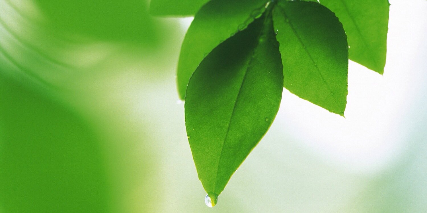 RenteknikGroup's profile banner image