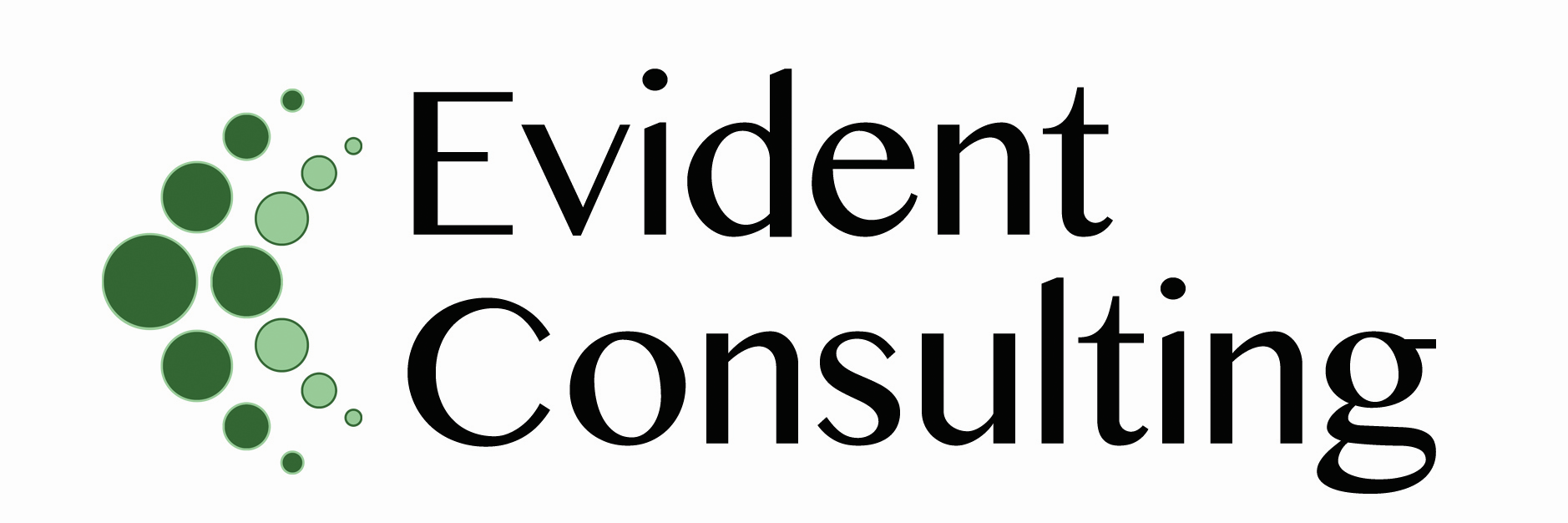 ConsultEvident's profile banner image