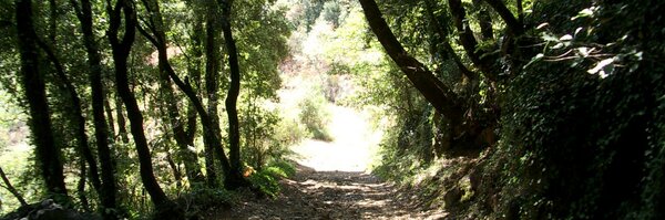 oriolrodriguez5 Profile Banner