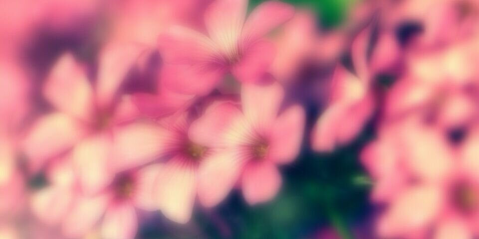 misa_e_46's profile banner image