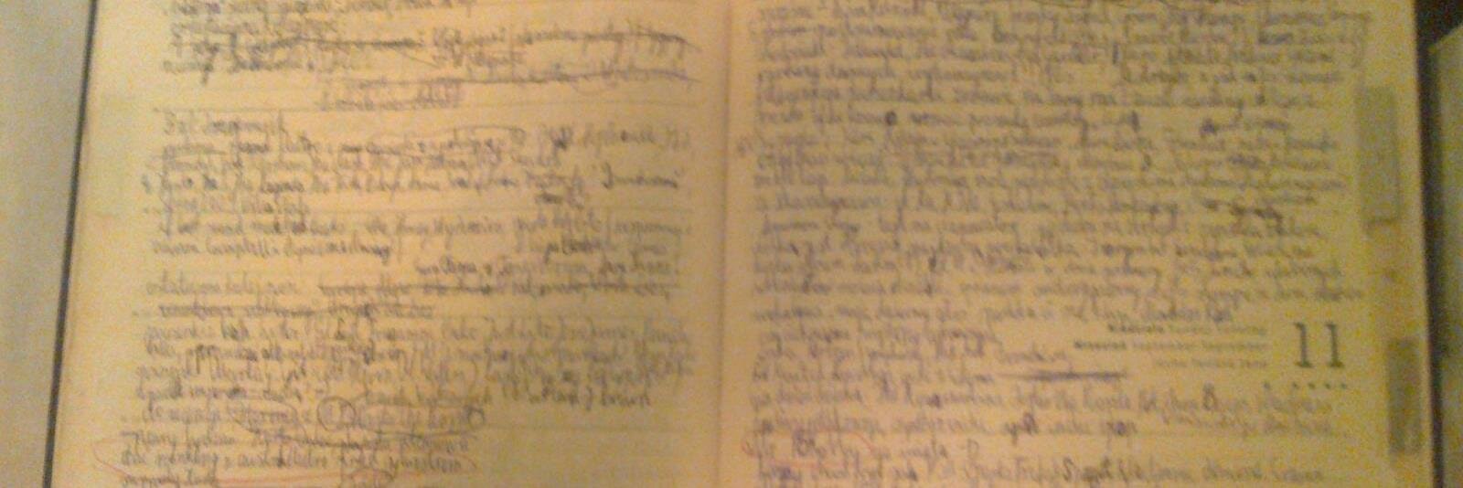 Primary Ritchie Torres - now you can banner