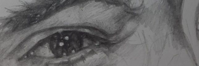 evieisnotcool's profile banner image