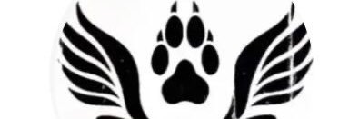 HachemPia's profile banner image