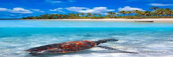 bintang864's profile banner image