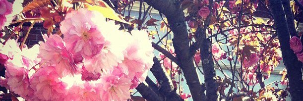 Style_She_Wrote's profile banner image