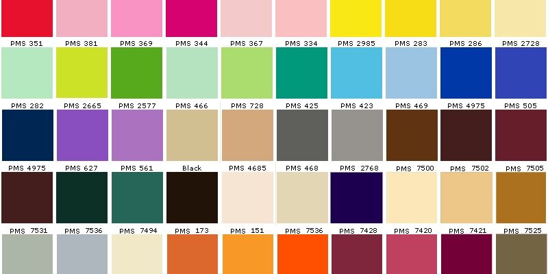 Pantone Color banner
