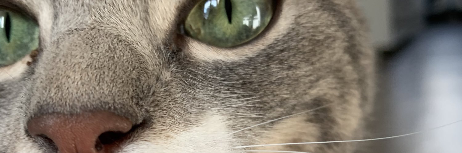 CalengeSalome's profile banner image