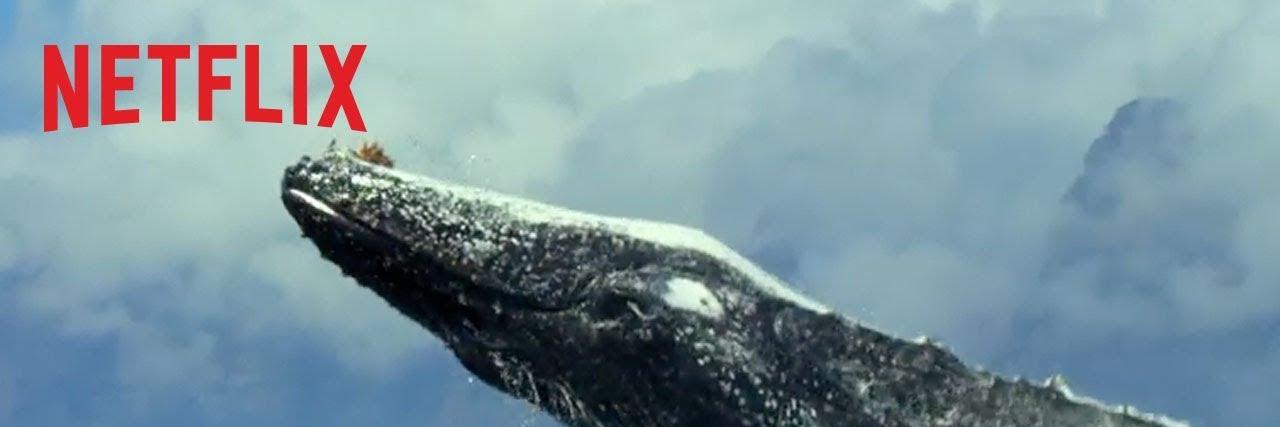 sidowen5's profile banner image