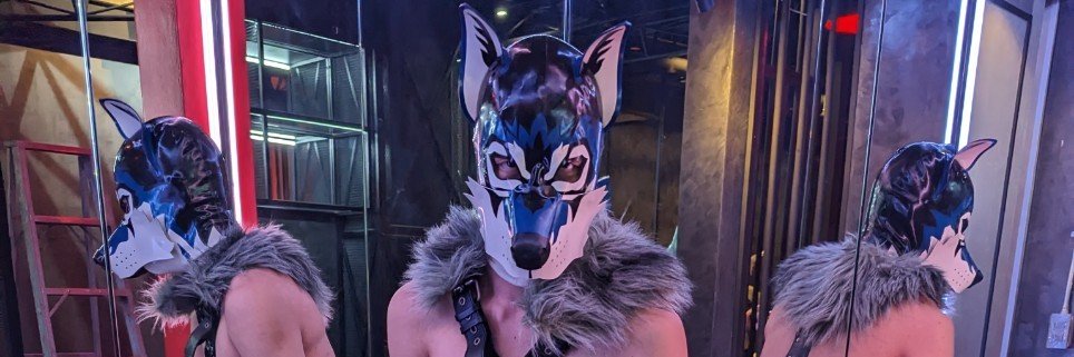 Ming Puppy BKK 🐾 banner