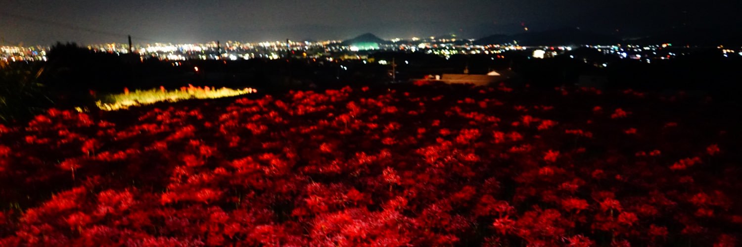 r429r's profile banner image